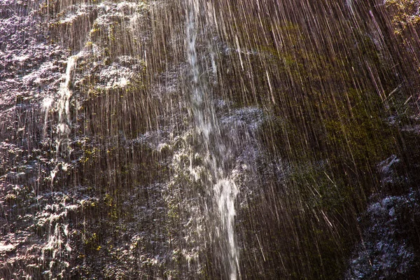Naturligt vandfald i nationalpark - Stock-foto
