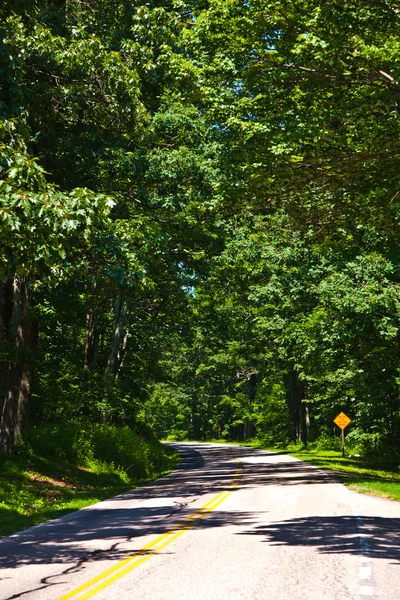 Belas curvas cênicas da estrada rural através do Parque Nacional Shenandoah . — Fotografia de Stock