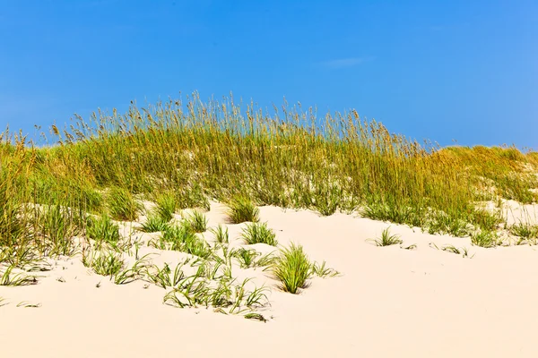 Трава на пляже во время бурного сезона — стоковое фото