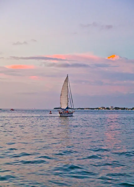 Segelbåt i solnedgången i key west — Stockfoto