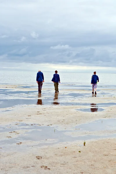 Περπάτημα στην παλιρροιακή επίπεδης — Φωτογραφία Αρχείου