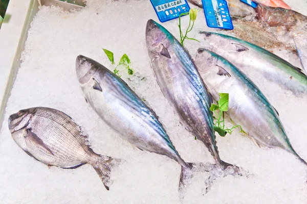Свежая рыба на льду для продажи на рынке — стоковое фото