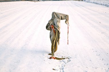 Kış snowfield üzerinde üzgün, düzensiz ve dondurucu korkuluk