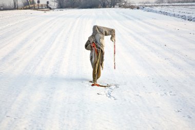 Kış snowfield üzerinde üzgün, düzensiz ve dondurucu korkuluk