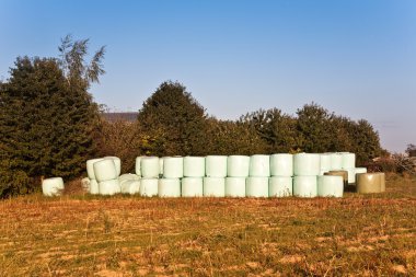 Saman balya infold autom içinde kuru tutmak için plastik film (folyo)