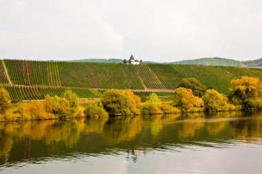 Mosel nehrinin oradaki Trittenheim yakınlarındaki üzüm bağında chappel.