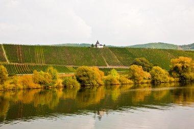 Chappel at the vineyard near Trittenheim at the river Mosel clipart