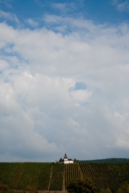 Mosel nehrinin oradaki Trittenheim yakınlarındaki üzüm bağında chappel.