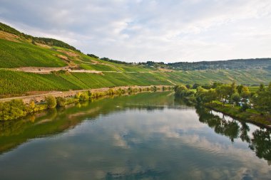 summe romantik nehir mosel kenar Dağları, üzüm bağları