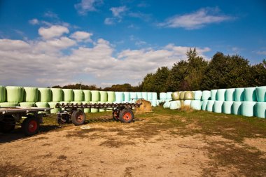 Saman balya infold autom içinde kuru tutmak için plastik film (folyo)