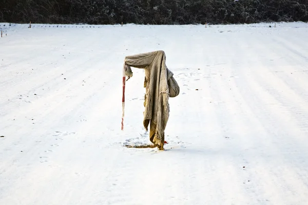 Espantapájaros tristes, andrajosos y helados en invierno en el campo de nieve —  Fotos de Stock