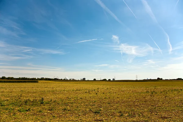 Acres após a colheita estão olhando de ouro no sol com céu azul — Fotografia de Stock