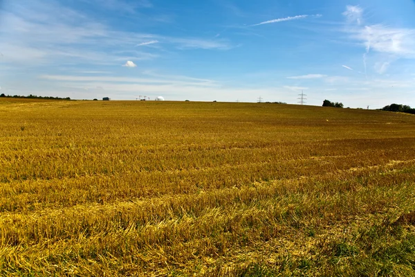 Acres efter skörd ser gyllene ut i solen med blå himmel — Stockfoto