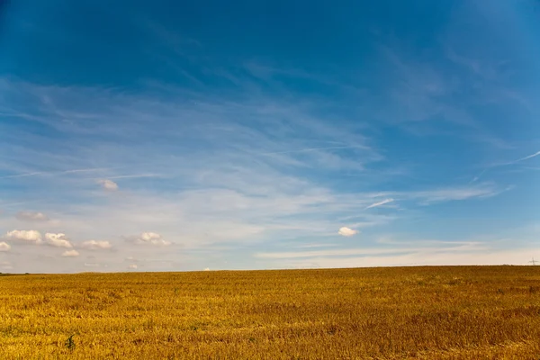 Acres después de la cosecha se ven dorados al sol con el cielo azul — Foto de Stock