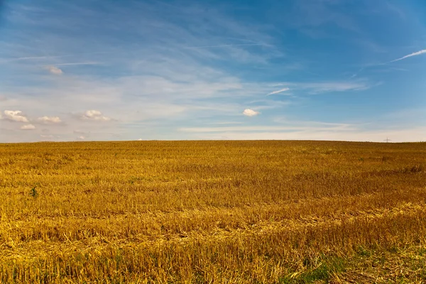 Anbauflächen nach der Ernte strahlen golden in der Sonne mit blauem Himmel — Stockfoto