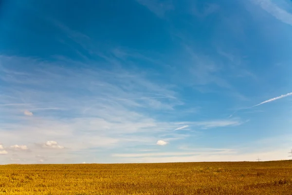 Anbauflächen nach der Ernte strahlen golden in der Sonne mit blauem Himmel — Stockfoto