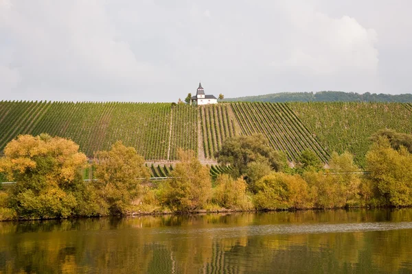 Capilla en el viñedo cerca de Trittenheim en el río Mosel — Foto de Stock