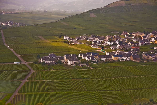 nehir mosel, üzüm bağları, trittenheim Köyü