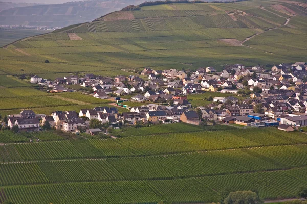 nehir mosel, üzüm bağları, trittenheim Köyü