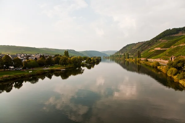 Viñedos en las colinas del romántico río Mosel borde en suma —  Fotos de Stock