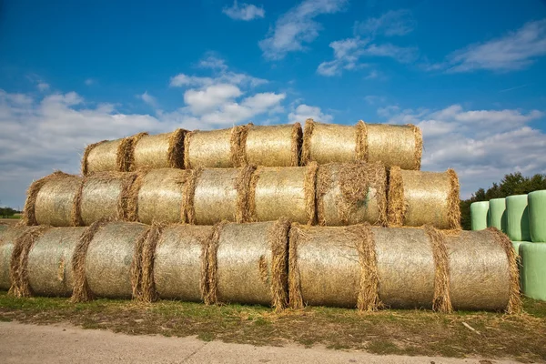 Bale of straw infold in plastic film (foil) to keep dry in autom — Stock Photo, Image