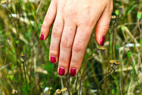 Палец с красным ногтем на лугу — стоковое фото