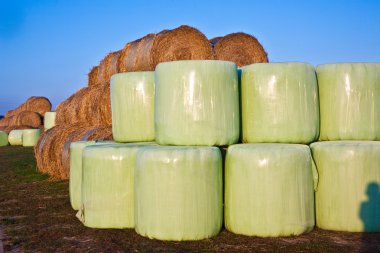 Bale of straw infold in plastic film (foil) to keep dry in automn in intens clipart