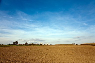 Newly ploughed fields with beautiful blue sky at the horizon clipart