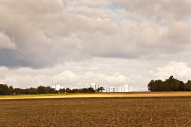 ağaçlar, güzel manzara beau ile tarım alanının ortasında sokakta