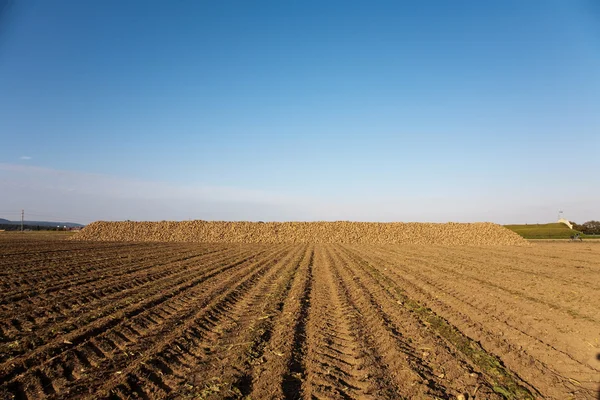 Pattern of sunny field in rural landscapes in harmony — Stock Photo, Image