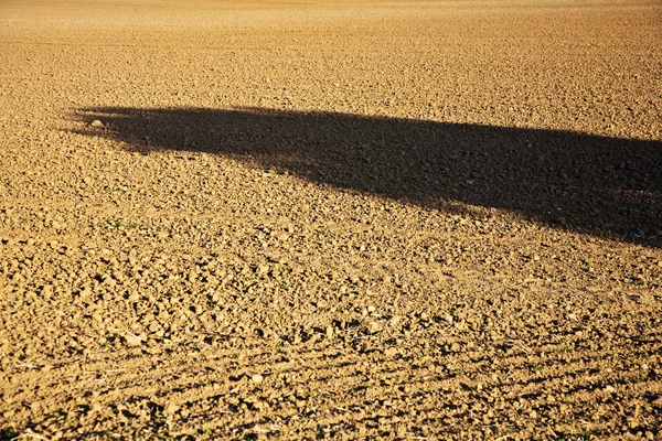 Güneşli alan uyum içinde kırsal manzara deseni — Stok fotoğraf