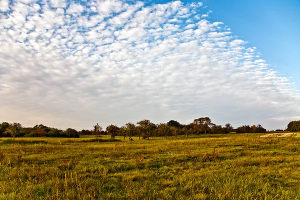 Patrón de campo soleado en paisajes rurales en armonía —  Fotos de Stock