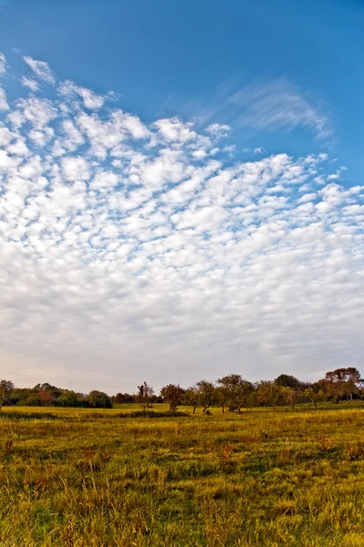 Padrão de campo ensolarado em paisagens rurais em harmonia — Fotografia de Stock