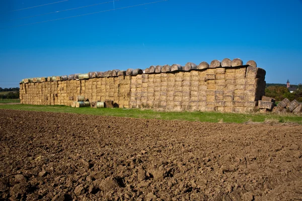 stock image Bale of straw in automn in intensive colors