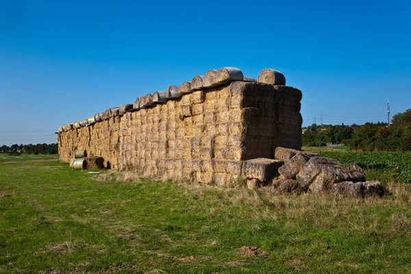 stock image Bale of straw in automn in intensive colors