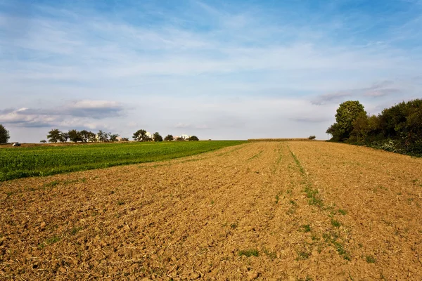 Neu gepflügte Felder mit schönem blauen Himmel am Horizont — Stockfoto
