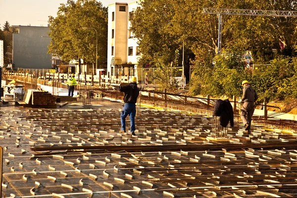 işçi platform hazırlıyoruz