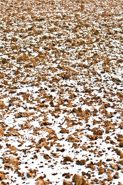 Detalhe do campo com neve no inverno — Fotografia de Stock