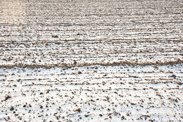 Detalhe do campo com neve no inverno — Fotografia de Stock