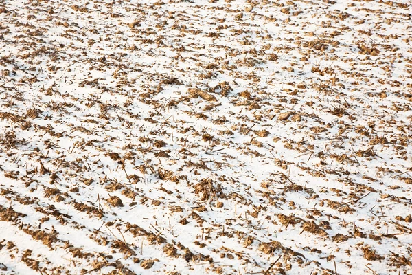 Feltdetaljer med snø om vinteren – stockfoto