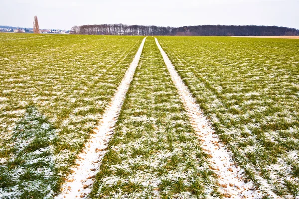 Reifenspuren auf Feld mit Strommast im Winter — Stockfoto