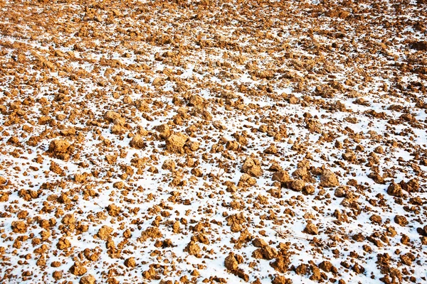Campo con nieve —  Fotos de Stock