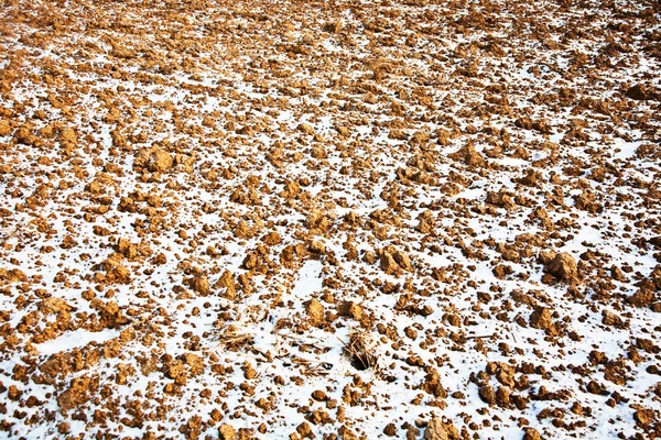 Поле со снегом — стоковое фото