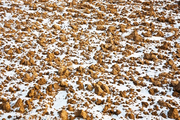 Поле со снегом — стоковое фото