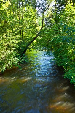 güzel nehir wuerm Münih