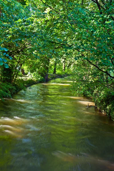 Stock image Beautiful river Wuerm in Munich