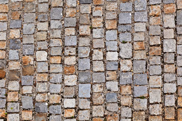 Cobble stone path — Stock Photo, Image