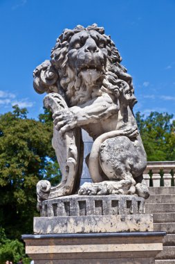 Lion in park of nymphenburg castle, munich clipart