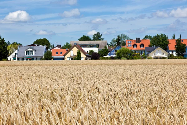 Housing area in rural landscape — Stock Photo, Image