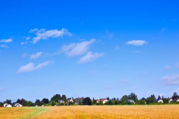 Assentamento em área rural com campos sob céu azul — Fotografia de Stock
